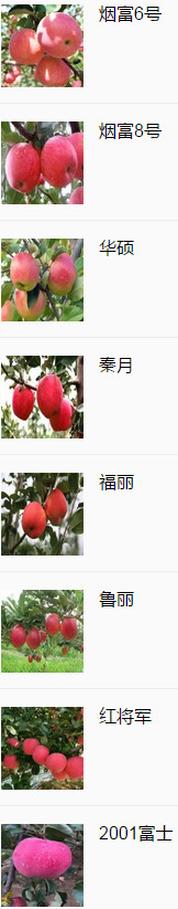 市場(chǎng)前景| 2019年新蘋果品種2